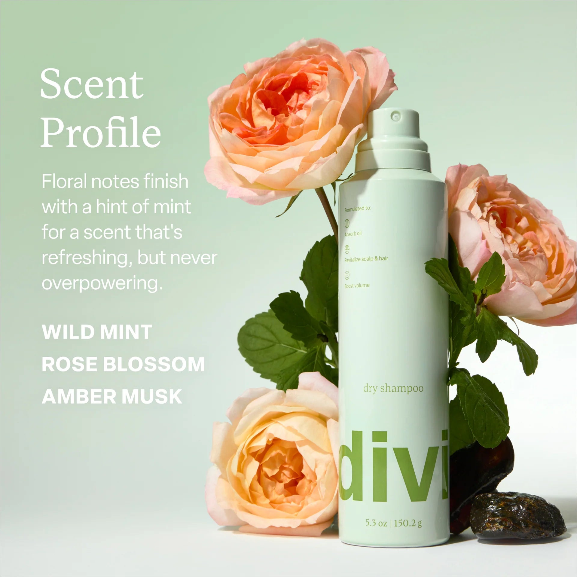 Free Gift Friday- divi Dry Shampoo Duo
